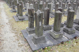 旧真田山墓地における清国兵の墓石（画面の中央正面）