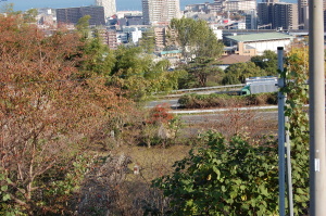 バイパス道路と旧大津陸軍墓地の位置関係が見える