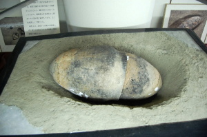 屈葬の遺体をおさめた（子ども）甕棺