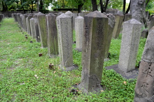 西南戦争の墓地で日置住吉墓碑と再会