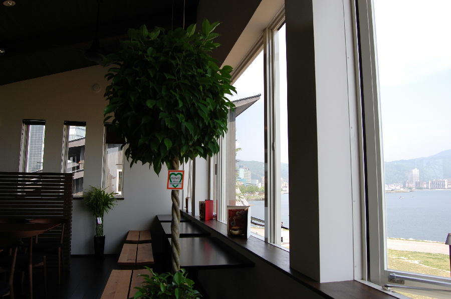 琵琶湖岸のオープンカフェにて